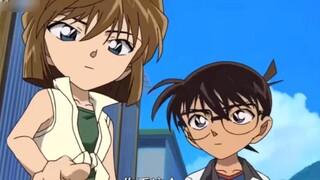 Tiểu Ái tự nhận mình là trợ lý của Conan và là cô gái làm việc vặt bán thời gian