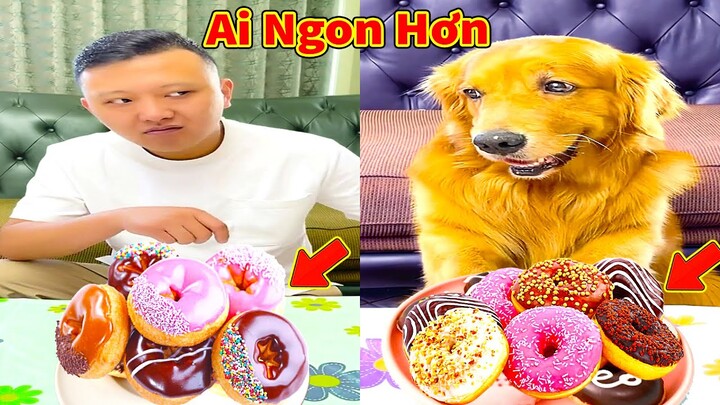 Thú Cưng TV | Lốp và Bố #7 | Chó Golden Gâu Đần thông minh vui nhộn | Pets cute smart dog