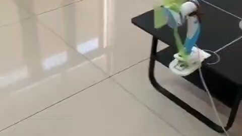 หมา: คืนนี้ เราสองคนกลับมาดีกันนะ?