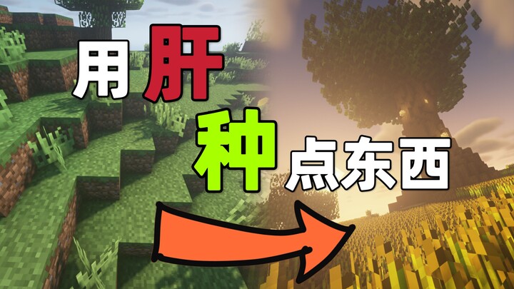 10 orang begadang semalaman… akhirnya berhasil menanam gandum sampai penuh di server!