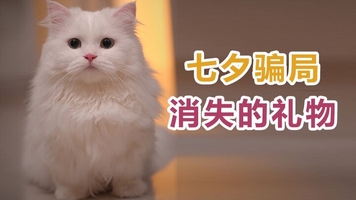 Anh ấy làm mất quà Thất Tịch của tôi rồi sao?