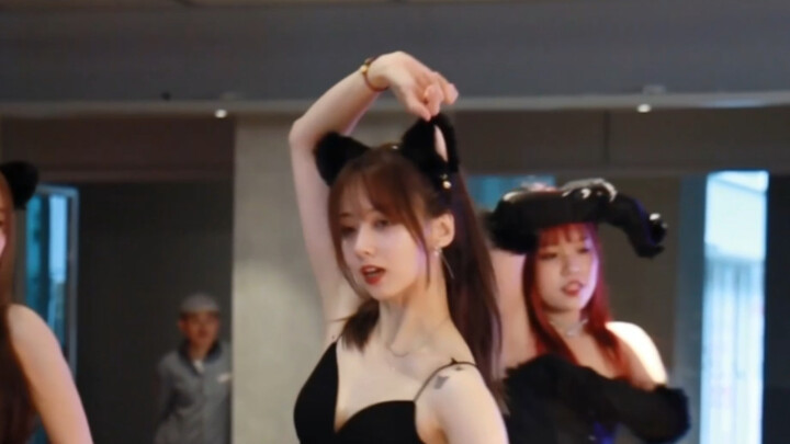 Catwalk | AOA Who doesn't like kittens meow~ | kpop dance cover