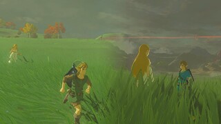 Zelda Is Following You MOD - The Legend of Zelda Breath of the Wild