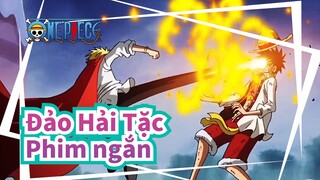 [Đảo Hải Tặc] Con đường tuyệt vời là ra khơi! Phim ngắn "Ra Khơi"