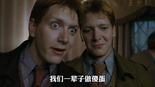 中文版的哈利波特究竟有多好笑