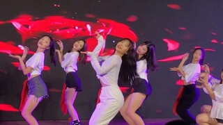 Para amatir juga bisa memiliki serial straight shot/Caiyan bit Rose Life/yeji bit dalla dalla