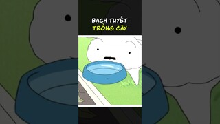 Cậu chủ đãng trí và màn chăm cây hộ của Bạch Tuyết | Shin Cậu Bé Bút Chì | Xóm Anime