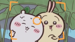 I was overwhelmed by the original fans so this is the last episode [Lao Dengkawa]