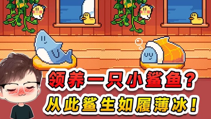 Cá mập nhỏ của tôi: Con cá mập nhỏ này đã được tôi nhận nuôi ư? Vậy thì cả cuộc đời nó chắc chắn sẽ 