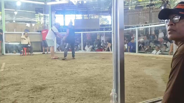 Flex kolang manokis ko 1ft w - Goldxlemon