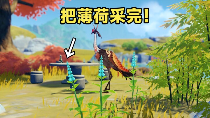 Apa yang akan terjadi jika semua tanaman peppermint dalam cerita dipetik?[Genshin Impact]