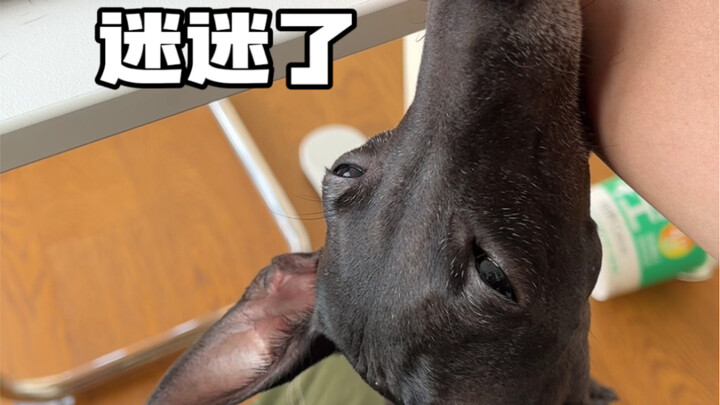 Got a long mouth and nowhere to put it, huh?