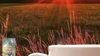 Good morning  শুভ সকাল