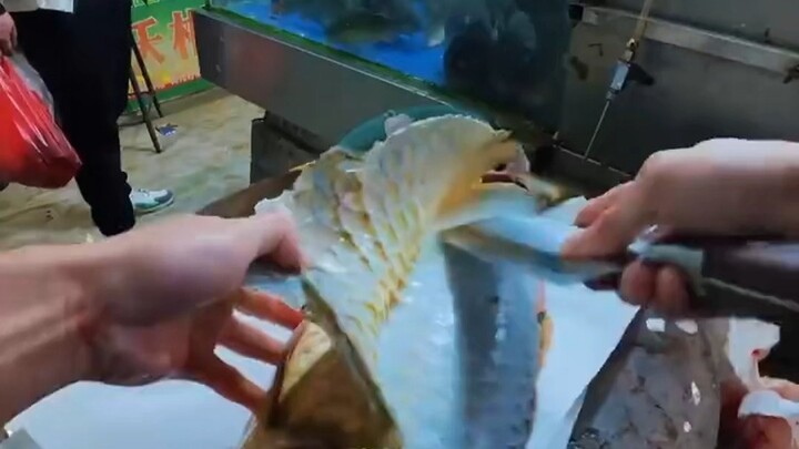 What kind of craftsmanship costs 20 bucks to process a single fish?