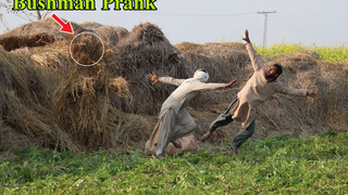 ที่สุดของ 2022 บุชแมนเล่นตลกในปากีสถาน !! Funniest Reaction Bushman ใหม่ วิดีโอตลก ตอนที่ 15😀😀