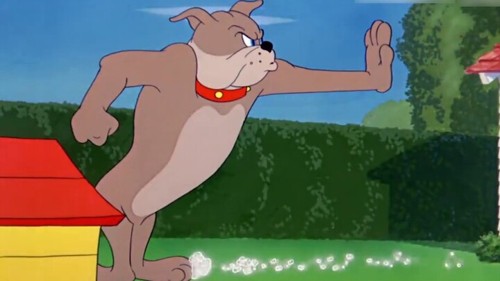 ☝🤓《Tidak Ada Formulir》