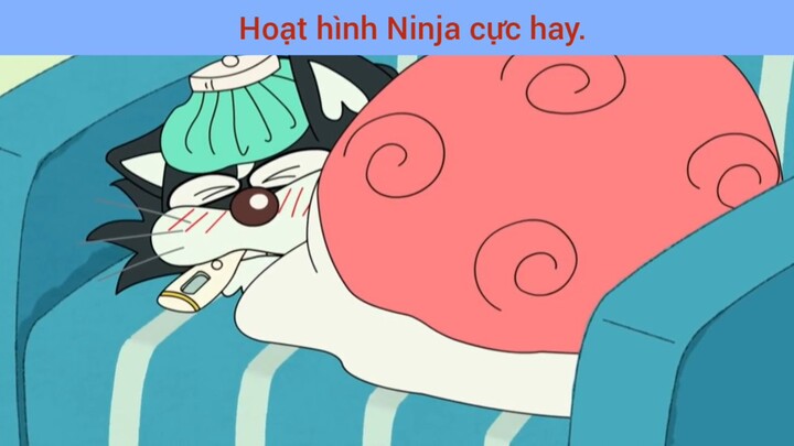 hoạt hình anime con mèo