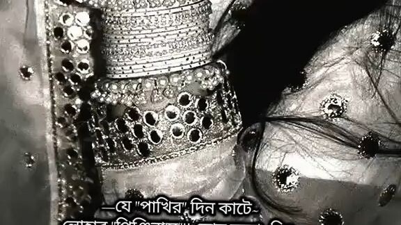 যে পাখির