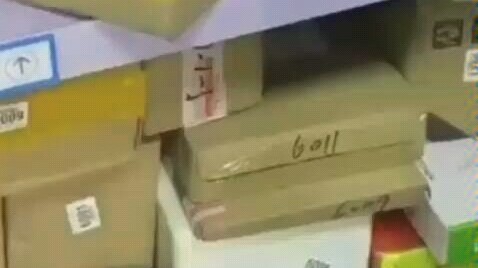 Adult Delivery