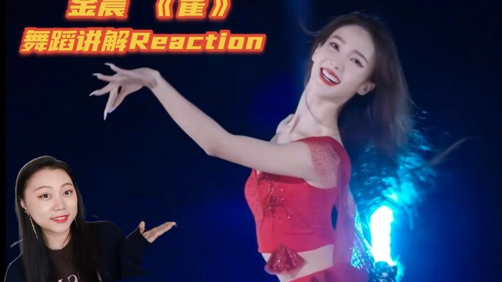 [舞蹈生]竟然神预测会跳绝美傣族舞？！金晨《雀》舞蹈讲解Reaction