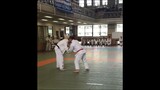 judo vs jiujitsu 1