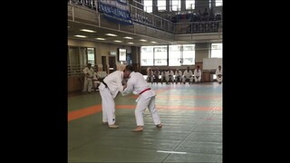 judo vs jiujitsu 1