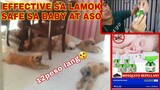 LAMOK TIPOK | MOSQUITO REPPELANT FOR BABY OR DOGS