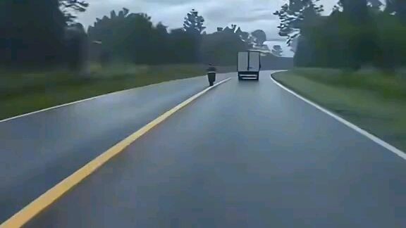 Funny video