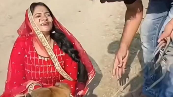entertainment video