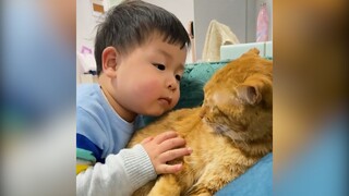 Lợi ích khi nuôi quàng thượng (P5) | MYPET