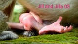 Oh No No!! God Save Baby Jilla,Jill Very Tired Till Sleep On Her Baby Can't Move,Jill and Jilla 03