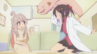 虎狼对话