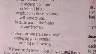 Daily Verse.                  Genesis 49:27-28