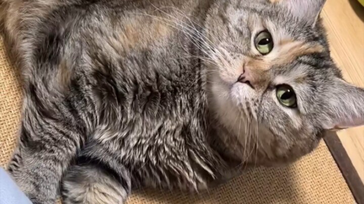 It's time to rub my tummy!