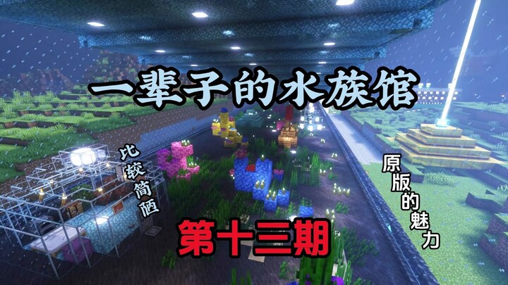 A lifetime at the aquarium—this is the first time I've ever seen a wild lightning creeper. The inspi