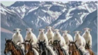 Eight Goats Riding Horses