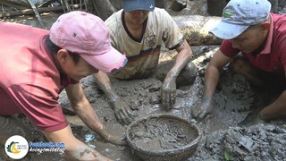 Tát Vũng Bắt TÉP BẦU Không Ngờ Nhiều Đến Vậy | Hội Ngộ Miền Tây - Tập 321