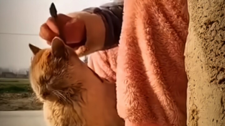 “This totally left Miao-sang speechless!”