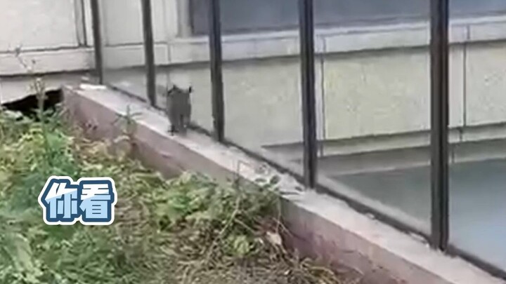 The Overlord Boss’s Personality Has Awakened!