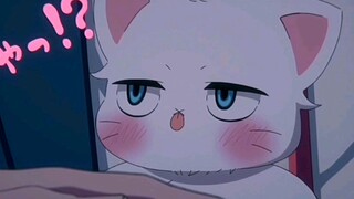 傲娇猫猫和他的天然呆主人