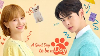A GOOD DAY TO BE A DOG EP. 4 [SUB INDO] 720P