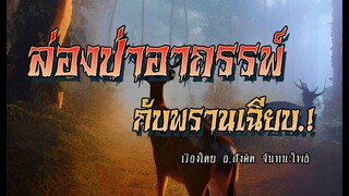 ล่องป่าอาถรรพ์..กับพรานเฉียบ! (ตอนเดียวจบ)