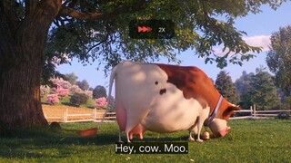 the secret life of pets 2