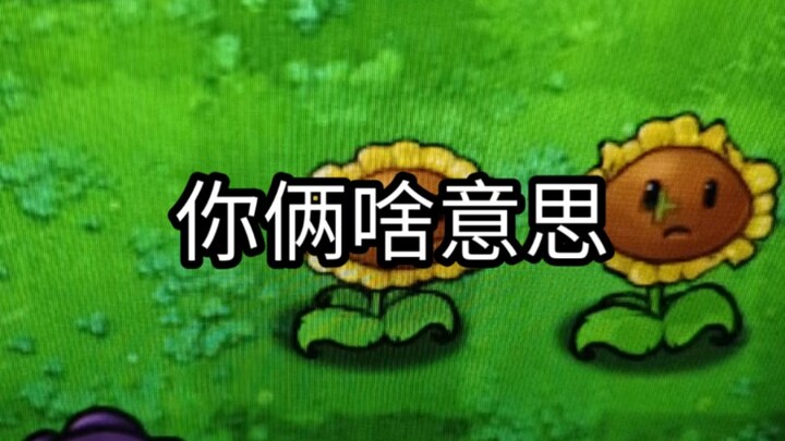 老妹？不嘻嘻！