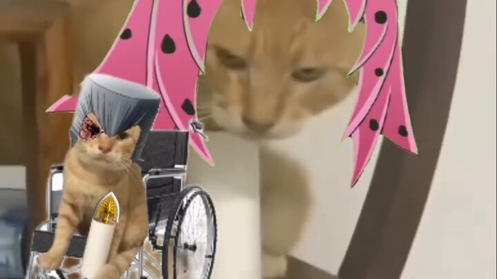 "This is a test" (Mao Die)