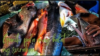 vlog #410 Surahan at KingMack Sapat na (philippines-spearfising