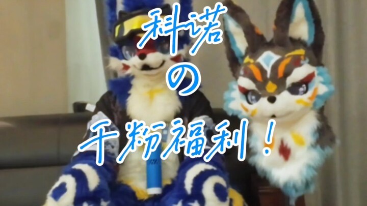This quality is free?! That’s right, it’s a benefit for thousands of fans!
