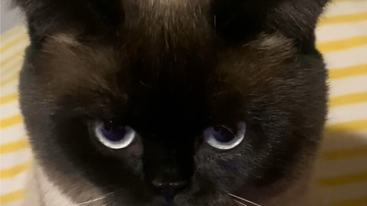 Có mấy bà mẹ thật là hài!