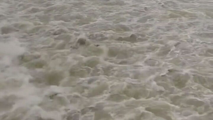 Dangerous Fish Hunting For Bangladesh