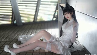 【天萋萋】指挥官，准备好和我的婚礼了吗?